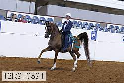 12r9_0391 proof