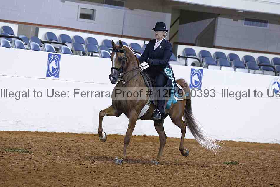Proof 12r9_0393