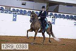 12r9_0393 proof