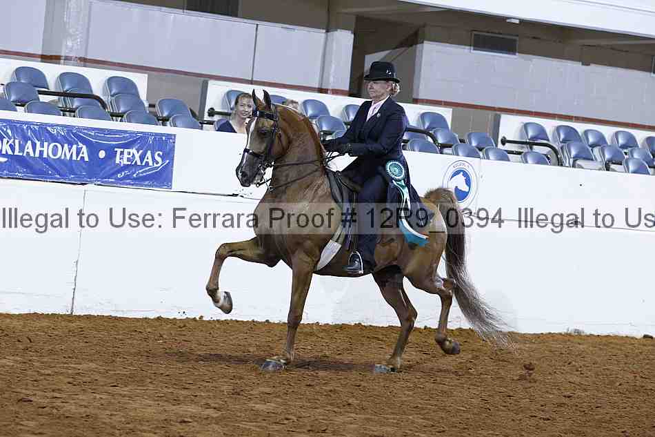 Proof 12r9_0394