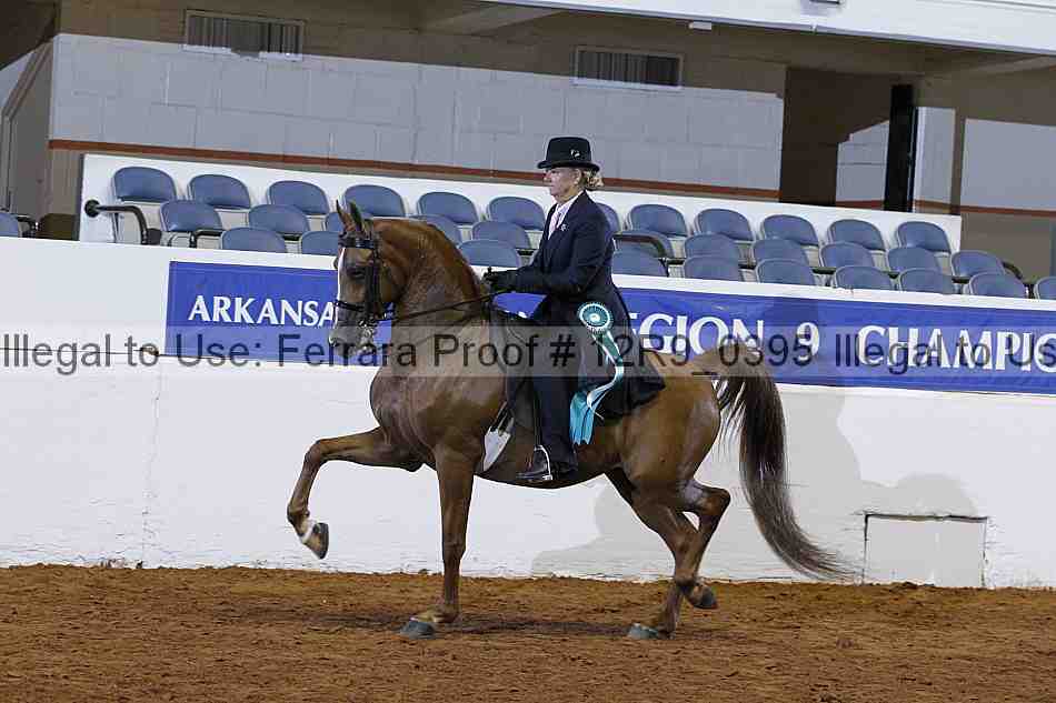 Proof 12r9_0395