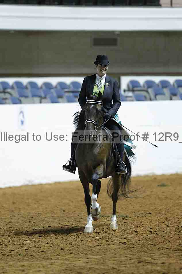 Proof 12r9_0396