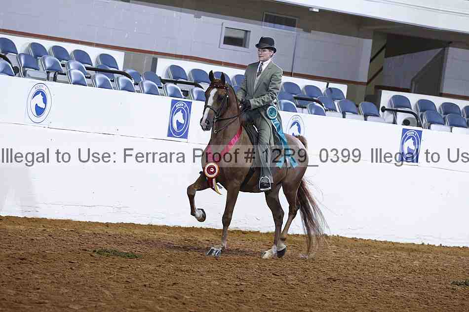 Proof 12r9_0399