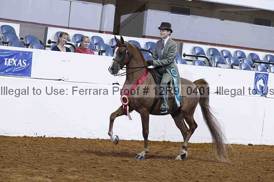 Proof 12r9_0401
