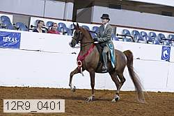 12r9_0401 proof