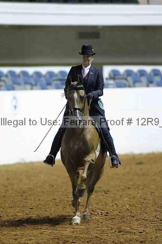 Proof 12r9_0403