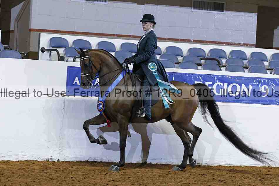 Proof 12r9_0405
