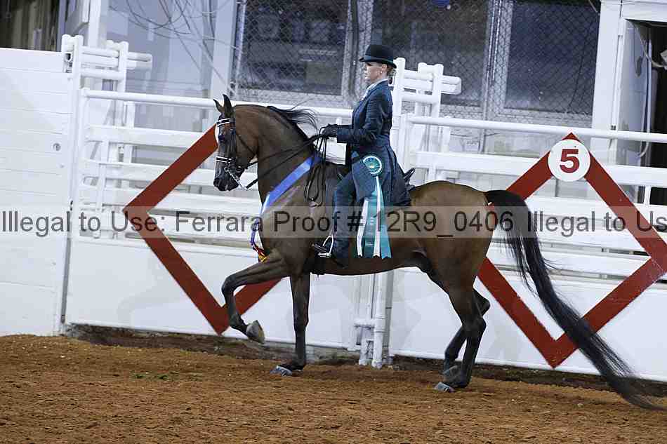 Proof 12r9_0406