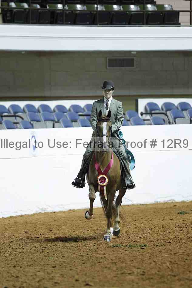 Proof 12r9_0407