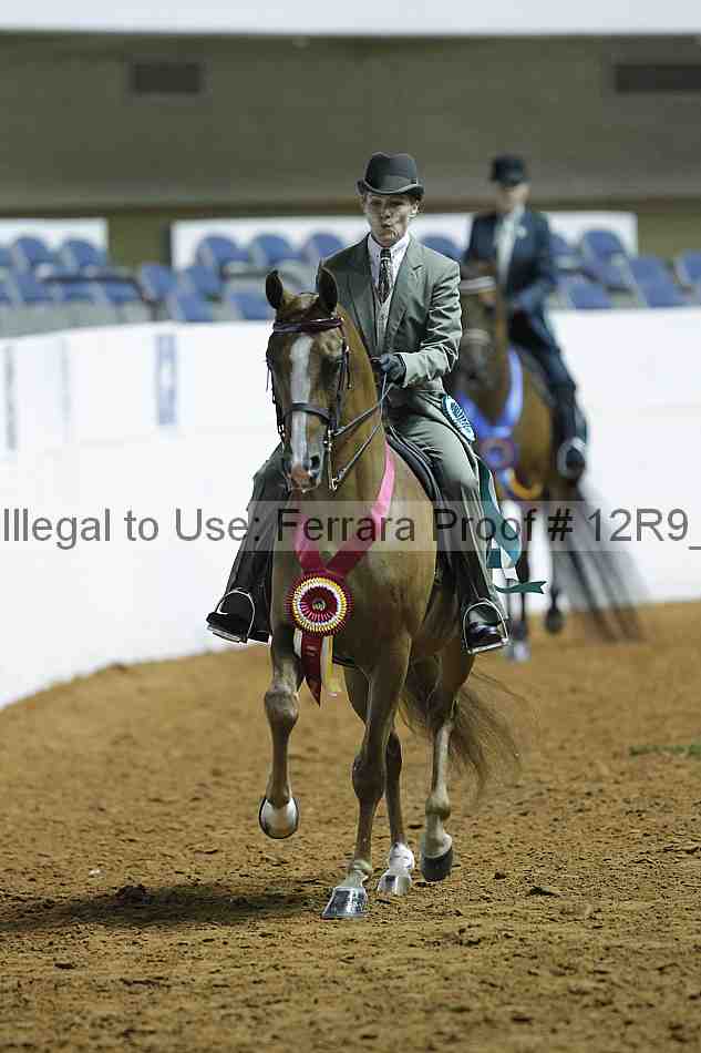 Proof 12r9_0409