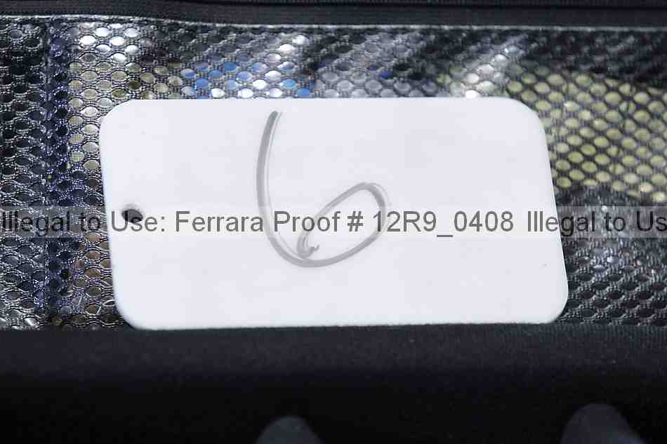 Proof 12r9_0408