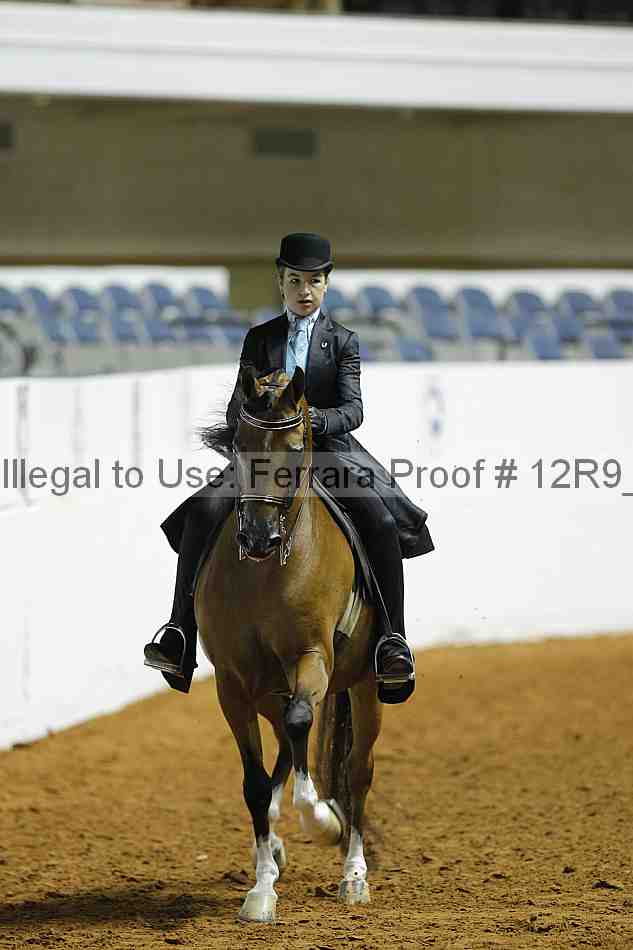 Proof 12r9_0417