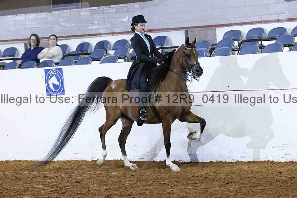 Proof 12r9_0419