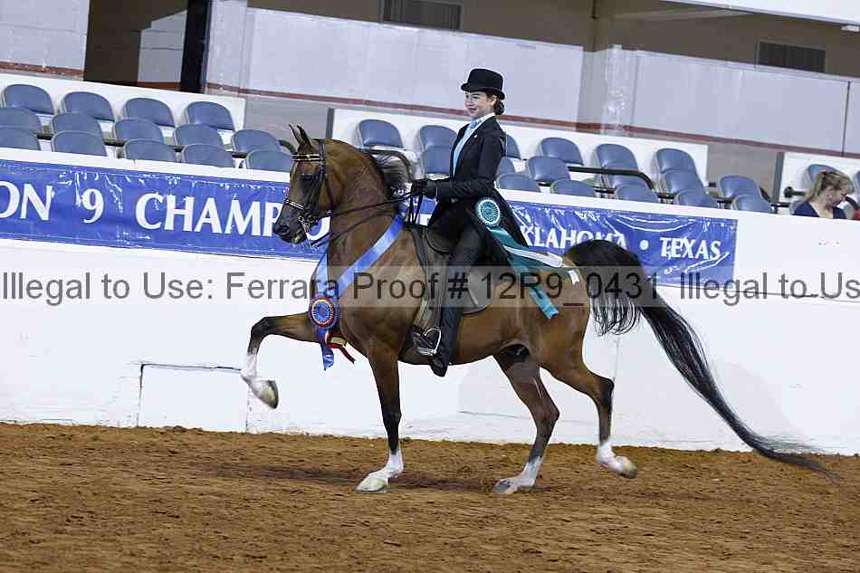 Proof 12r9_0431