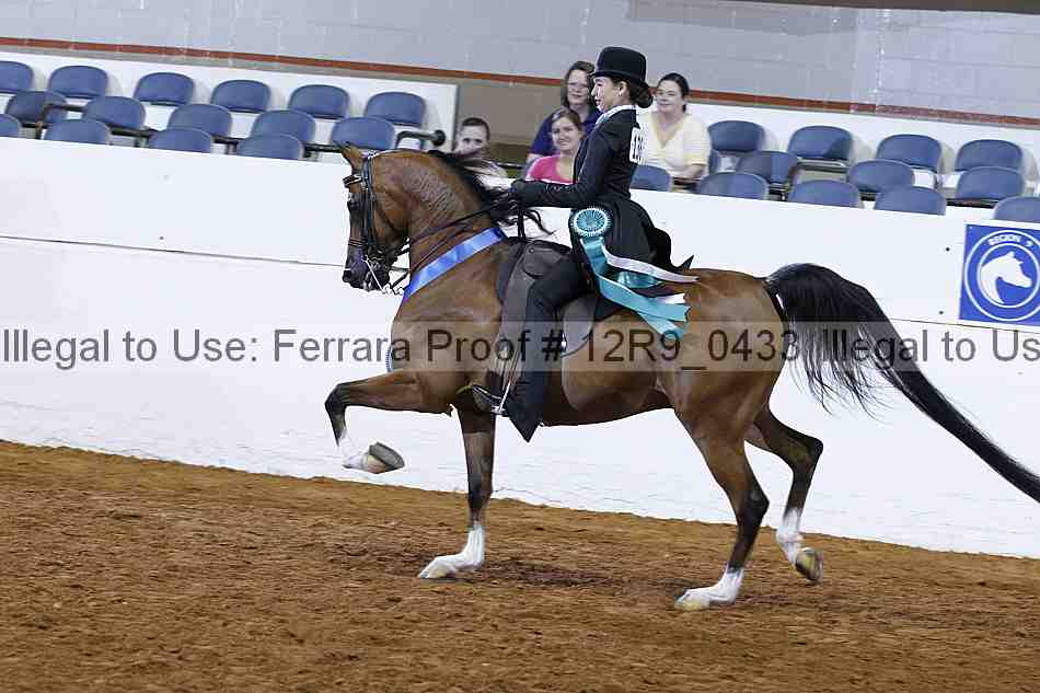 Proof 12r9_0433