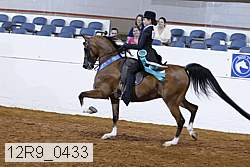 12r9_0433 proof