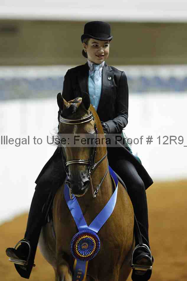 Proof 12r9_0438