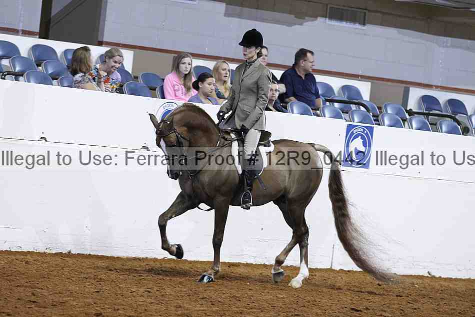 Proof 12r9_0442