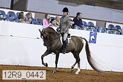 12r9_0442 proof