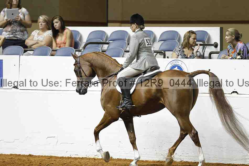 Proof 12r9_0444