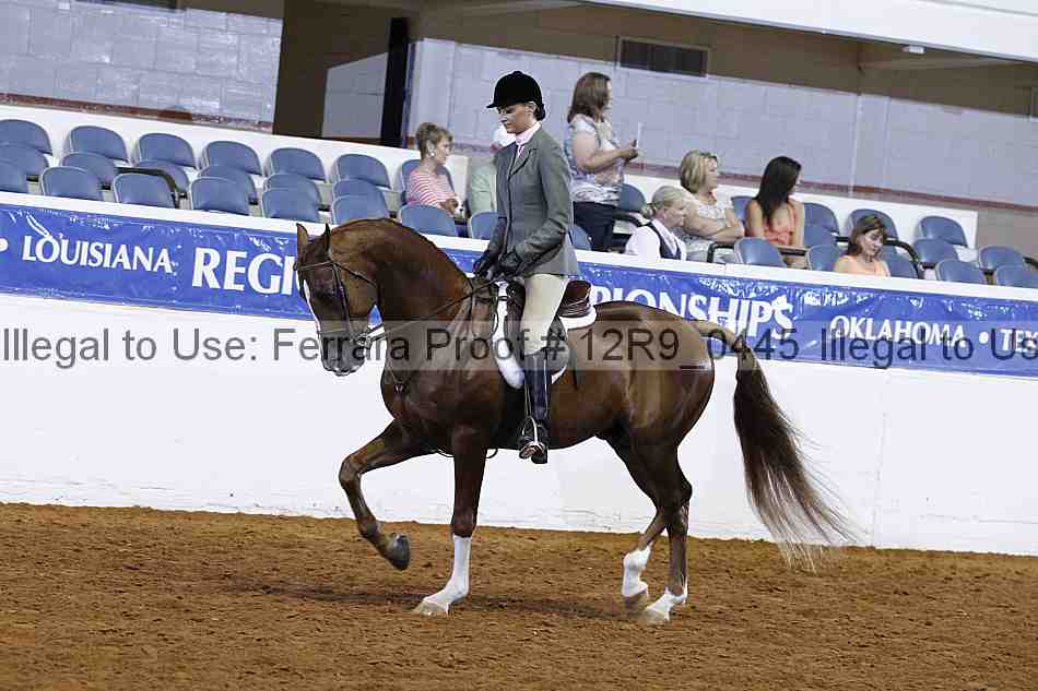 Proof 12r9_0445