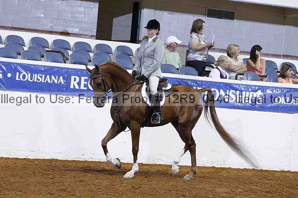 Proof 12r9_0446