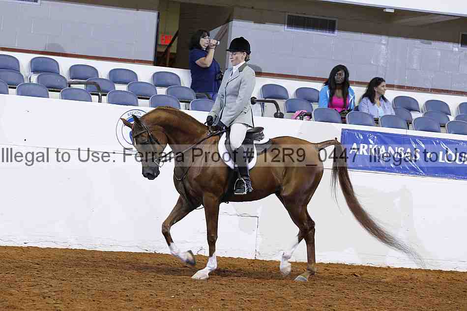 Proof 12r9_0447