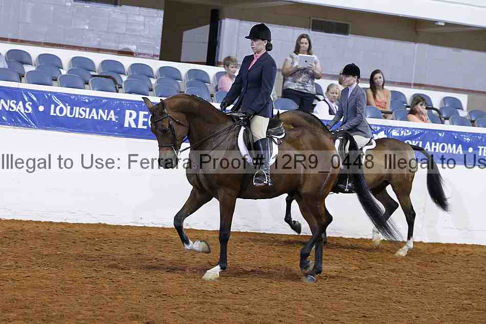Proof 12r9_0448
