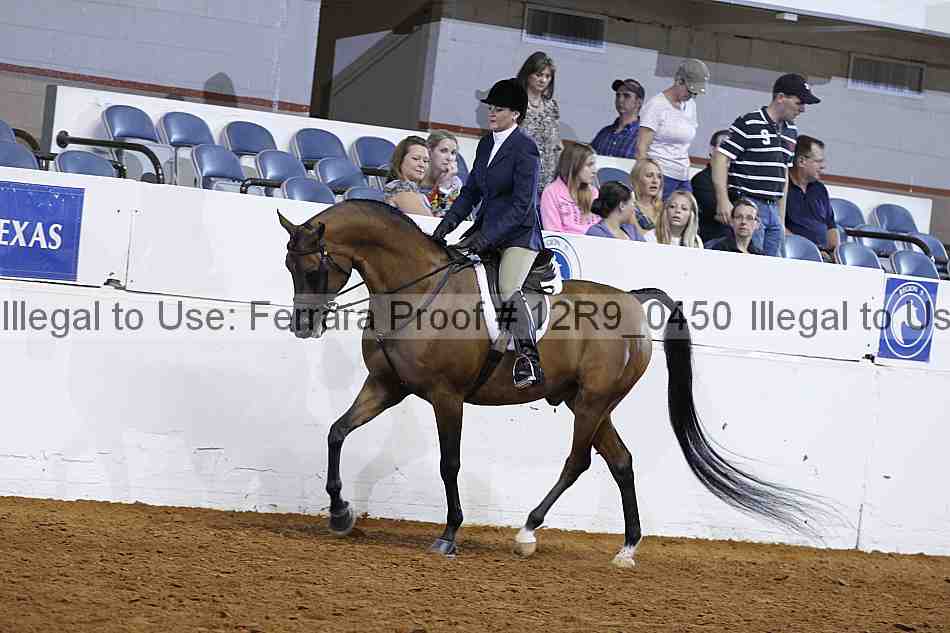 Proof 12r9_0450