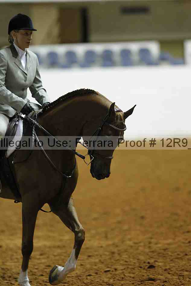 Proof 12r9_0451