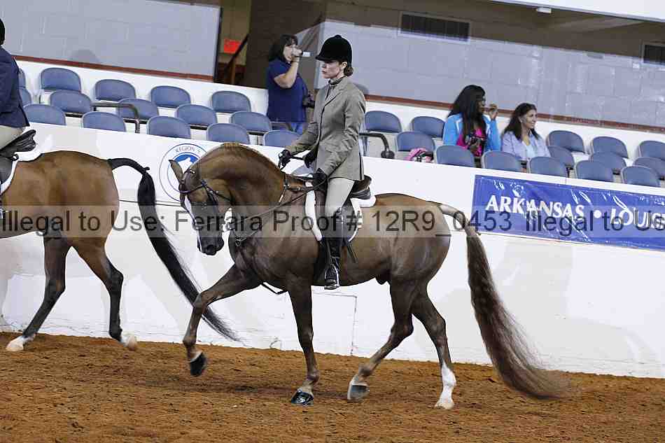 Proof 12r9_0453