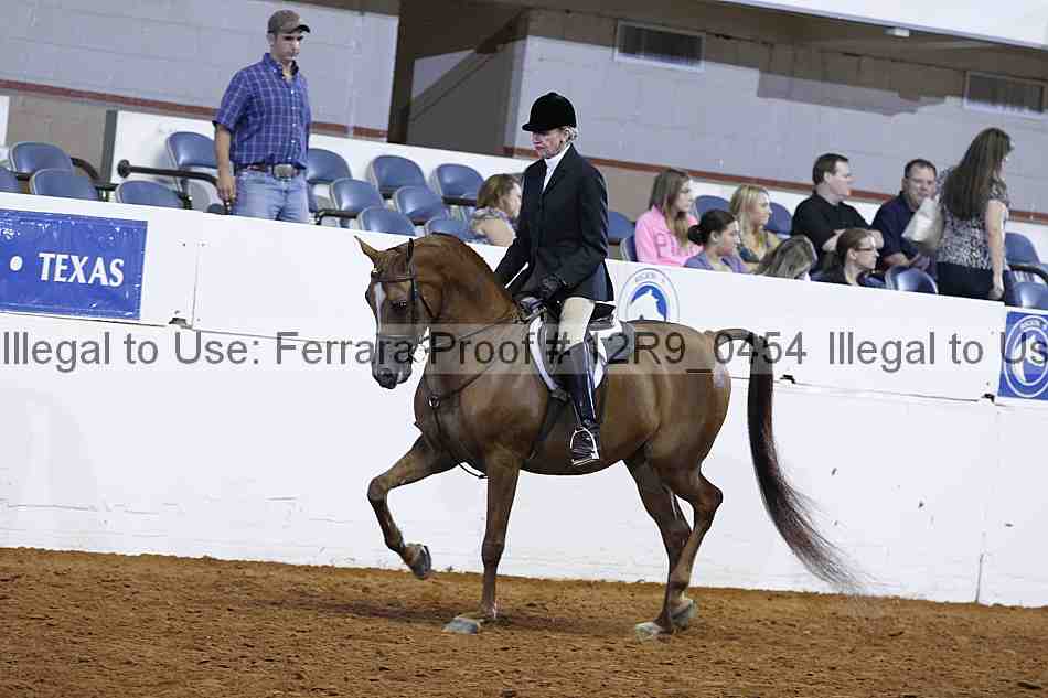 Proof 12r9_0454