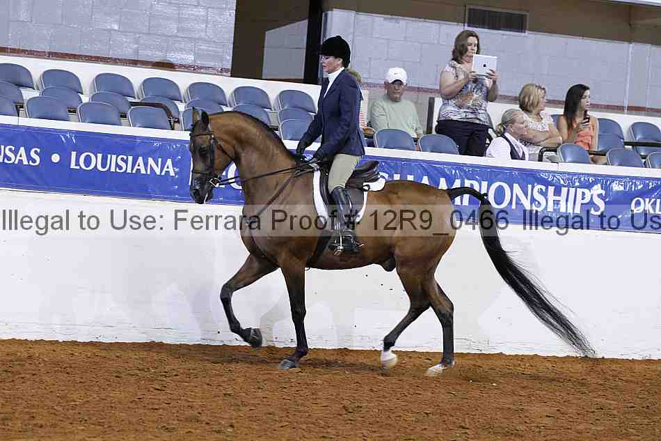 Proof 12r9_0466