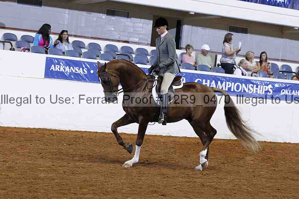 Proof 12r9_0470