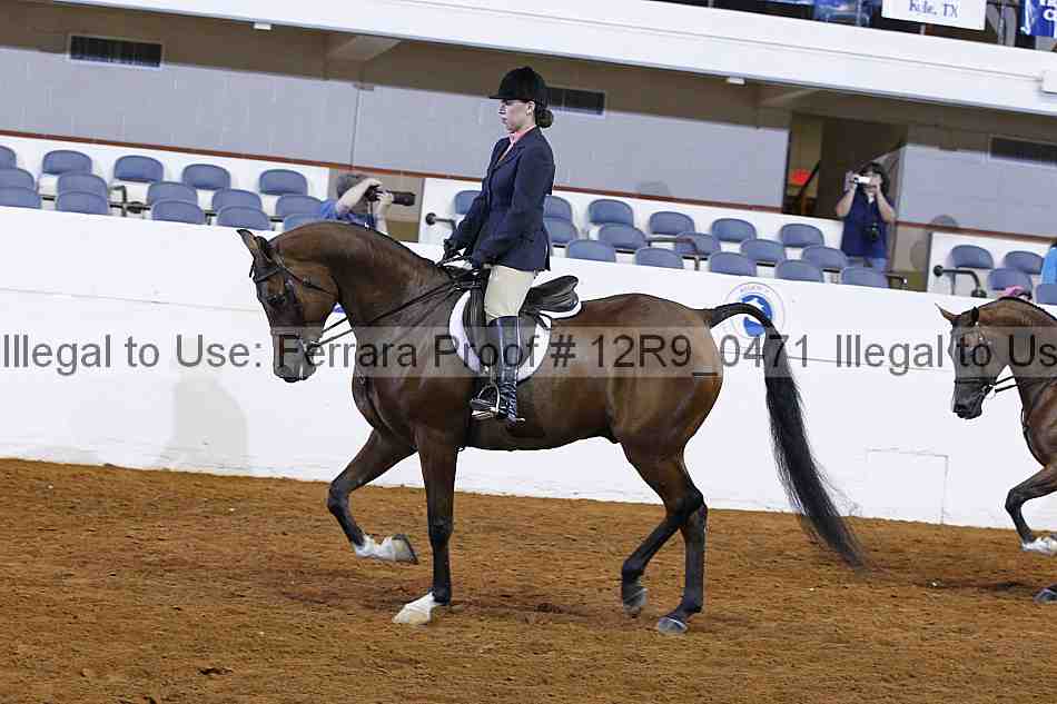 Proof 12r9_0471