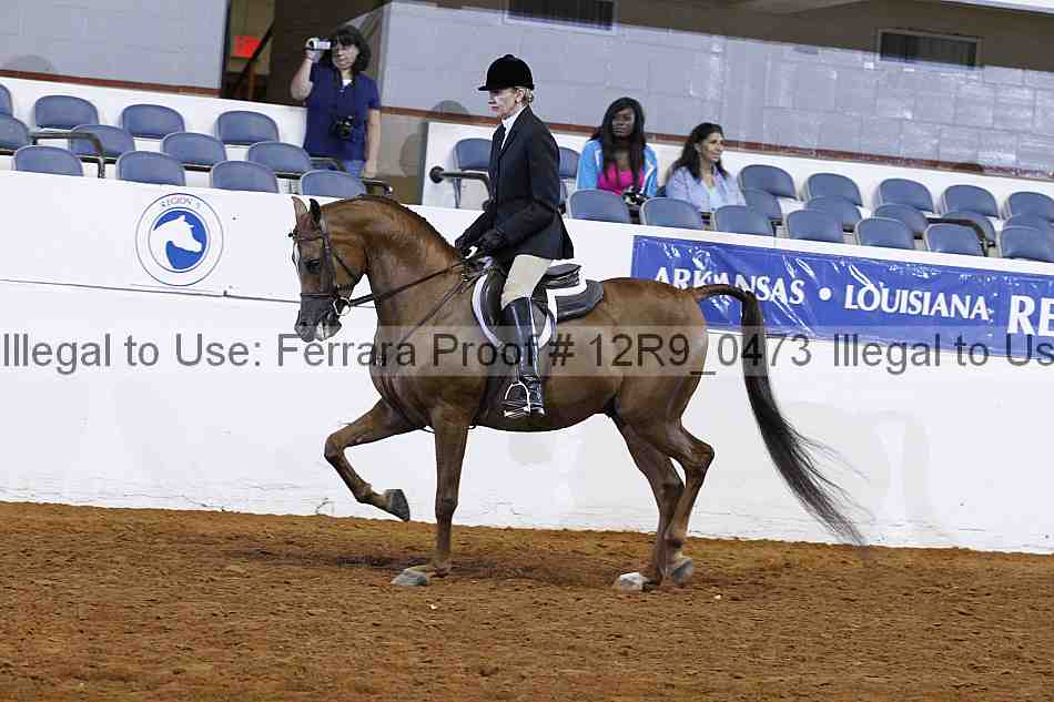 Proof 12r9_0473
