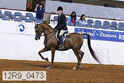 12r9_0473 proof