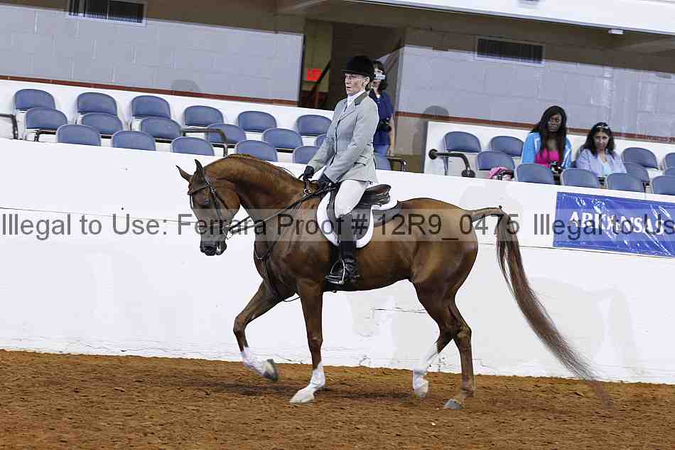 Proof 12r9_0475