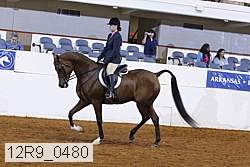 12r9_0480 proof