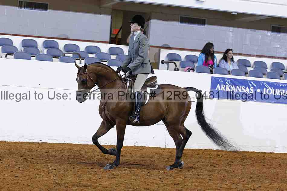 Proof 12r9_0481