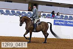 12r9_0481 proof