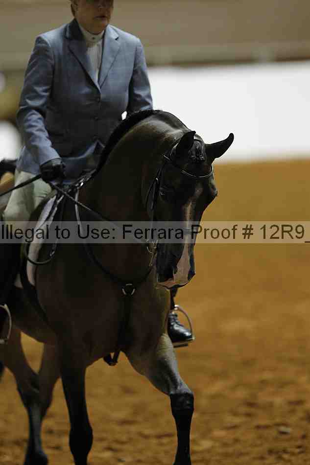 Proof 12r9_0483