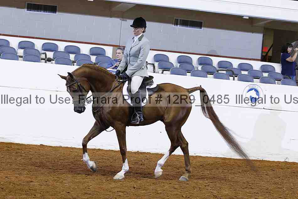 Proof 12r9_0485