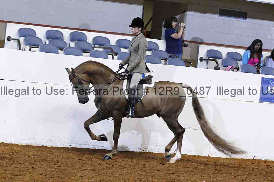 Proof 12r9_0487