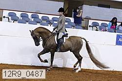 12r9_0487 proof