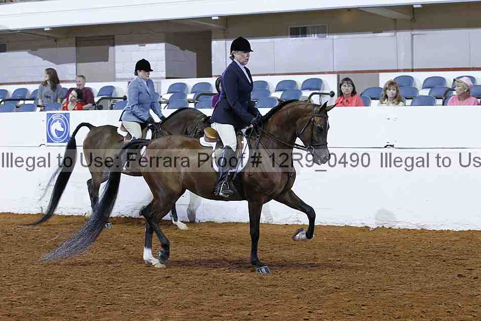 Proof 12r9_0490