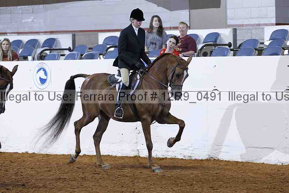 Proof 12r9_0491