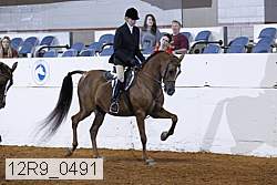 12r9_0491 proof