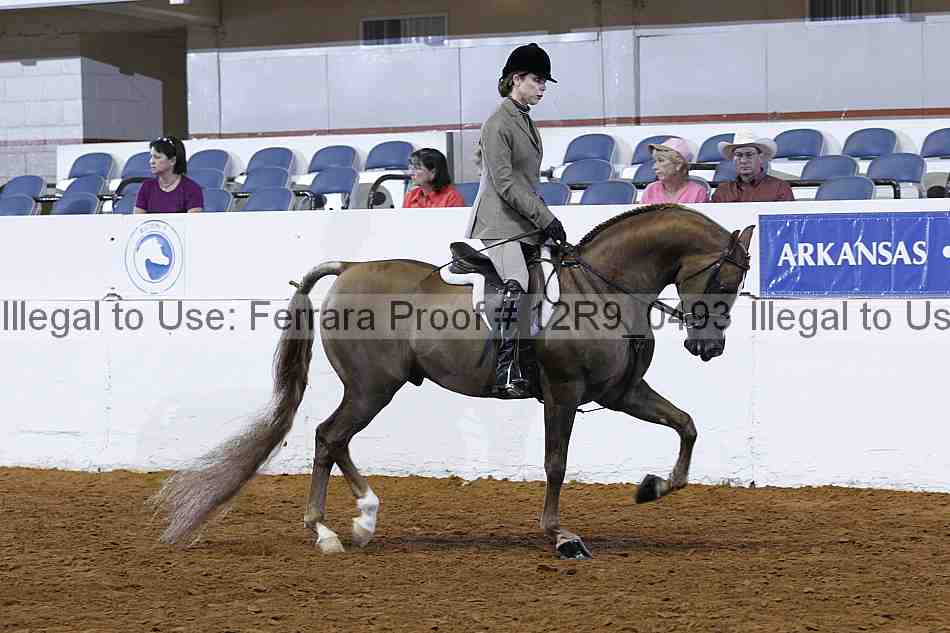 Proof 12r9_0493