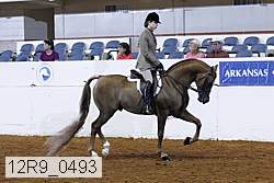 12r9_0493 proof
